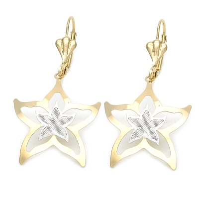 016606 - 66.018 | Earrings