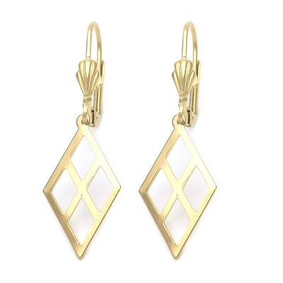 017695 - 5.069.010 | Earrings