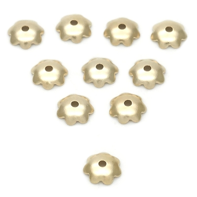 019513 - 5.234.020 | Findings