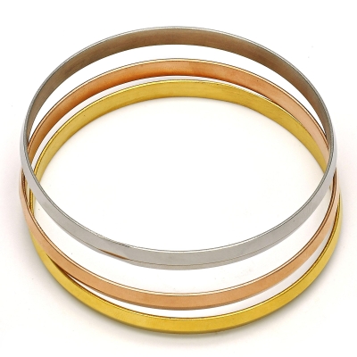 108093 - 07.244.0005.06 | Bangles
