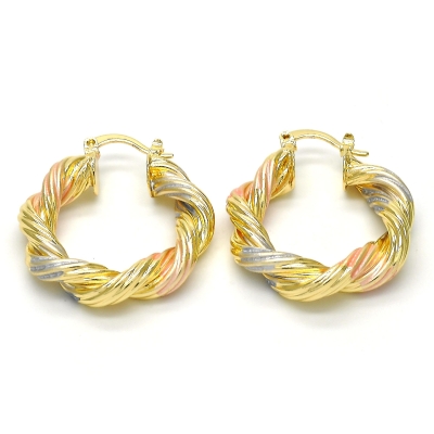 114539 - 02.170.0154.30 | Hoops