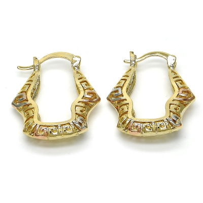 116205 - 02.102.0028.25 | Hoops