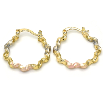 117009 - 02.170.0196.25 | Hoops