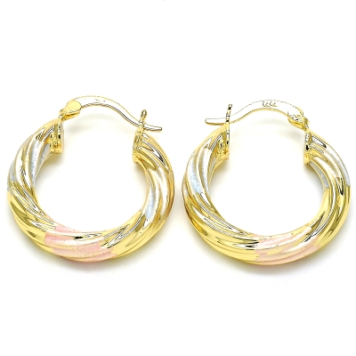 126596 - 02.170.0249.25 | Hoops