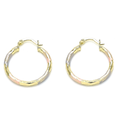 143868 - 02.213.0249.30 | Hoops