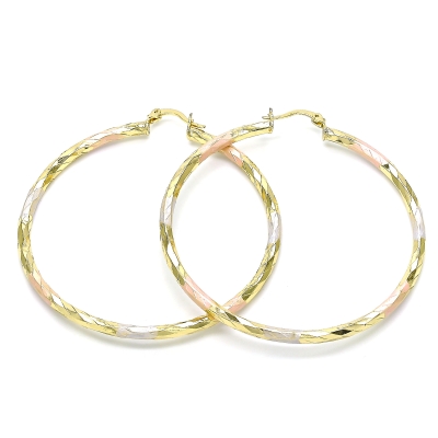 143875 - 02.213.0249.60 | Hoops