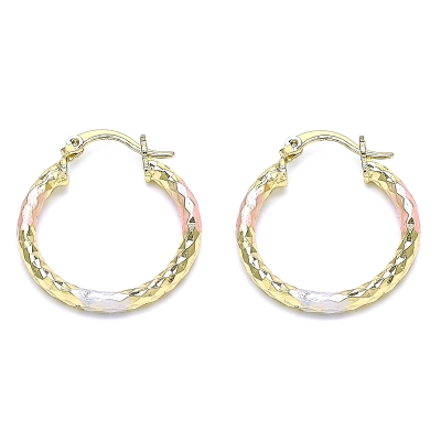 143889 - 02.213.0154.1.25 | Hoops