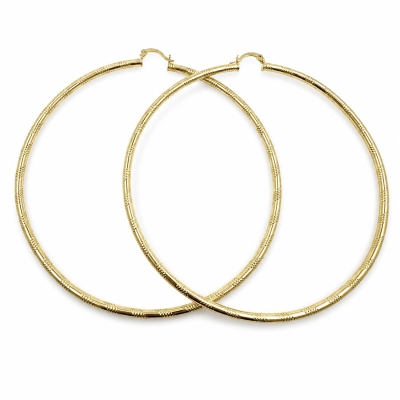 168164 - 02.213.0153.100 | Hoops