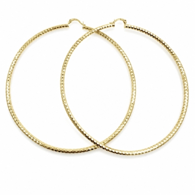 168180 - 02.213.0252.100 | Hoops