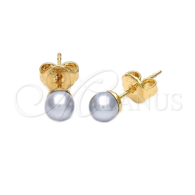 029533 - 02.63.2116 | Earrings