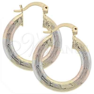 031519 - 5.149.020.1 | Hoops