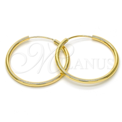 113577 - 02.170.0156.30 | Hoops