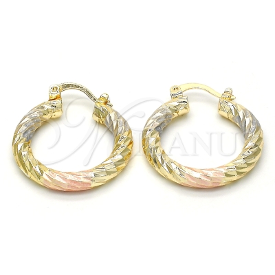 114533 - 02.170.0135.1.25 | Hoops