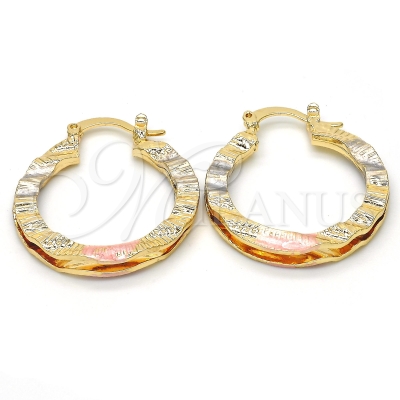 117016 - 02.170.0199.25 | Hoops