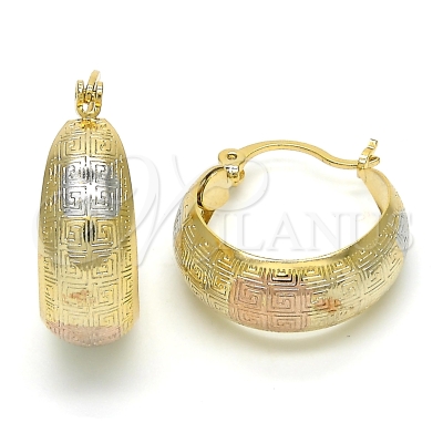 119931 - 02.106.0003.1.20 | Hoops