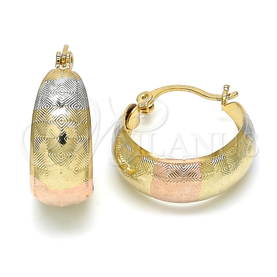 119954 - 02.106.0014.1.20 | Hoops