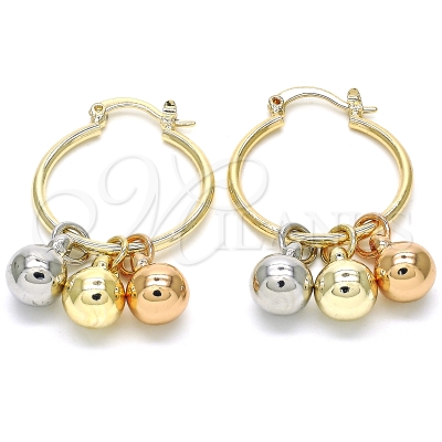 124581 - 02.63.2632.1.25 | Hoops