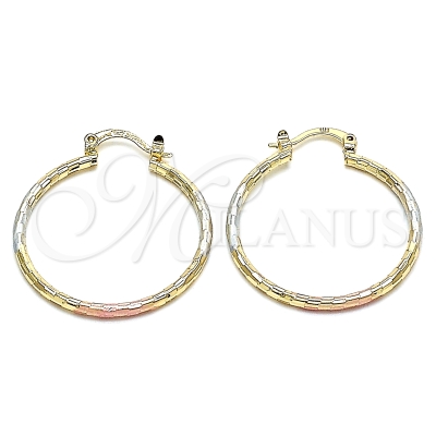 130347 - 02.170.0295.30 | Hoops