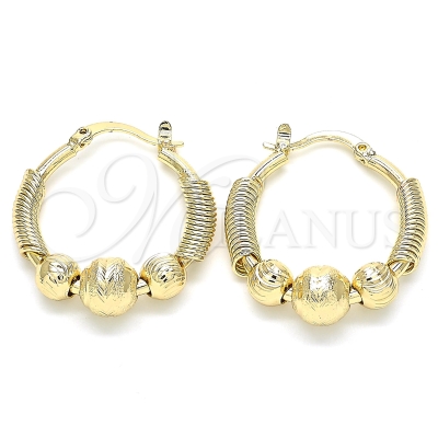 131333 - 02.170.0305.25 | Hoops