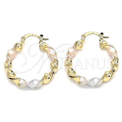 135329 - 02.170.0167.25 | Hoops