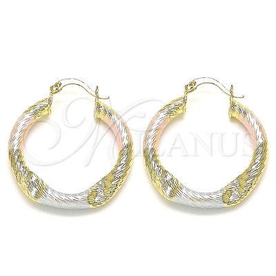 143299 - 02.170.0391.30 | Hoops