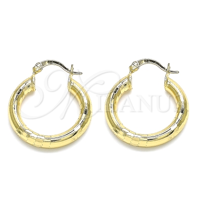 143302 - 02.170.0262.25 | Hoops