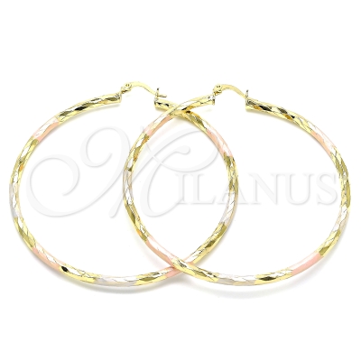 143864 - 02.213.0249.70 | Hoops