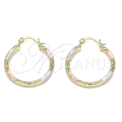 143882 - 02.213.0151.1.30 | Hoops