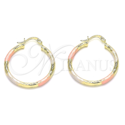 143898 - 02.213.0254.30 | Hoops