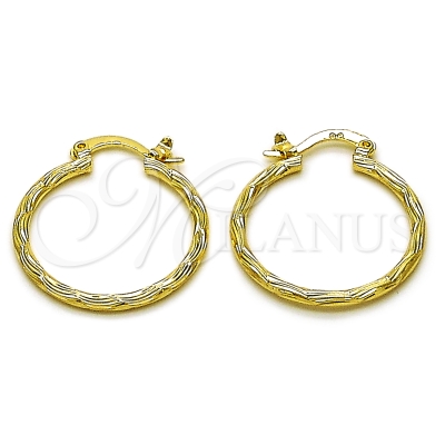 162645 - 02.170.0573.25 | Hoops