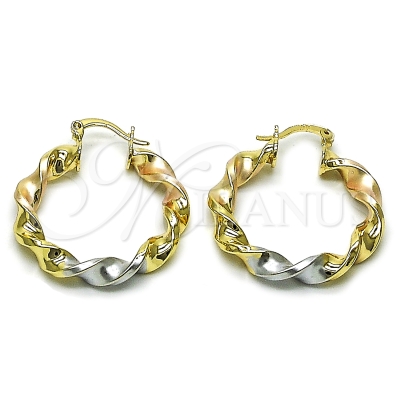 162663 - 02.170.0581.1.30 | Hoops