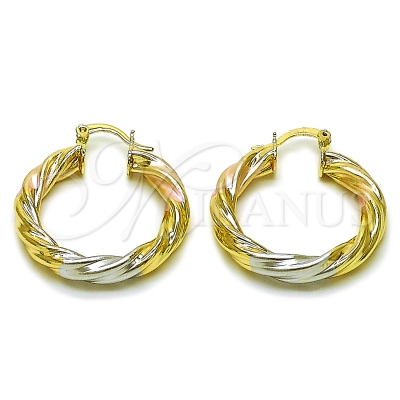 162666 - 02.170.0249.30 | Hoops