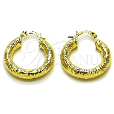 162681 - 02.213.0262.25 | Hoops