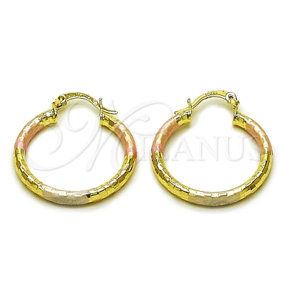 162692 - 02.213.0156.1.25 | Hoops